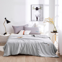 天琴(TISEN) TQ-B068水韵蚕丝被200x230cm