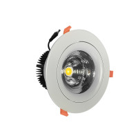 深照紫光 GS4560 20W 220V 色温5000K LED吸顶天花灯 (计价单位:个) 白色