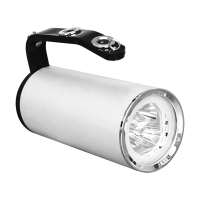 深照紫光YJ1201C-9W固态手提式防爆探照灯 1.00 盏/套 (计价单位:套) 银色