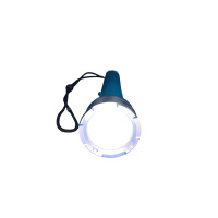 深照紫光YJ1209 潜水防爆照明灯