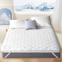 红秀世纺 HXG0026 120*200cm 全棉 床褥 1.00 件/条 (计价单位:条) 白色