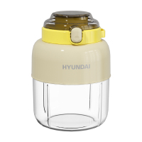 HYUNDAI 小型便携式果汁机 RC-T01