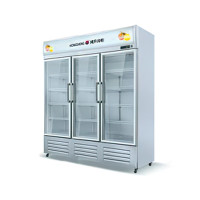 共好双门展示柜(敞门款直冷 2~8℃) GHLL-CZ18