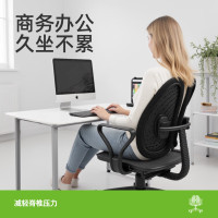 米乔中班椅电脑椅子家用座椅人体工学办公椅工程学双背椅 黑色 经典大师椅 CH-0151B 单位:把