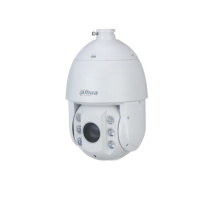 大华 DH-SD-6C3423-HN-DB1-D2 球机