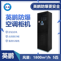 英鹏(GYPEX) BFKG-12 IIB 柜机 黑色 柜机空调 防爆空调 5匹 五级能效 定频 黑色 51-100㎡