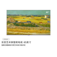创维(Skyworth) 65Q7D 超高清(4k) 65 DLED 有线+无线 4K超清电视黑色普通电视设备(电视机)
