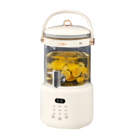 杜邦 多功能养生壶PYS-KY1028