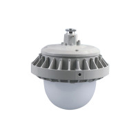 卓安(CNZAM)ZGD207 50W AC220V IP65 约5700k/白光 LED平台灯