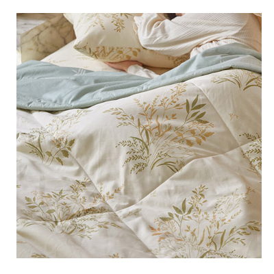 点途 DT-11 夏凉被 A类 200*230cm 春意