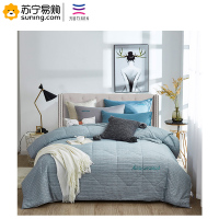 天琴 简尚水洗大豆被 TQ-B067 200x230cm