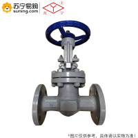 尧字(Y) 铸钢闸阀 Z41H-40C-65