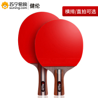 健伦(JEEANLEAN) 乒乓球拍(双反胶四星进阶级单拍) 正红反黑 单只装