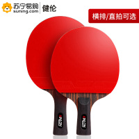 健伦(JEEANLEAN) 乒乓球拍(双反胶六星专业版单拍) 正红反黑 单只装