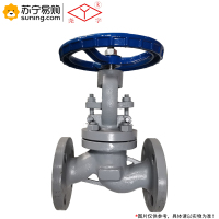 尧字(Y) 铸钢截止阀 J41H-16C DN40