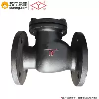 尧字(Y) 铸铁止回阀 H44T-16 DN40