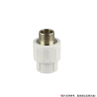 ZENG SHI Z PPR外丝直接 DN20PPR* 四分外丝 5个/包 一包装