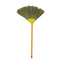 Letme 花凤尾草小扫帚(龙须扫把)