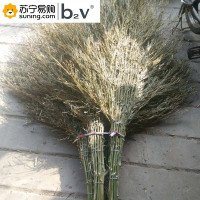 b2V 竹子大扫把密枝款