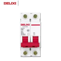 德力西微型断路器(空气开关)DZ47s 2P C型 20A