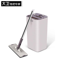 大卫自刷洗平板拖把(刮刮乐)Z9 1杆2布 标准版 米咖色