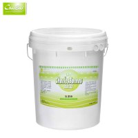 超宝 彩漂粉DFG005 20kg