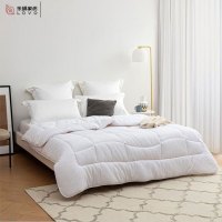 LOVO 甄·悦 暖姜黑科技丝柔抗菌春秋被子 VQS2021-1 1250g