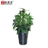 欧思卓仿真发财树绿植盆栽 高0.8米(含盆青苔)
