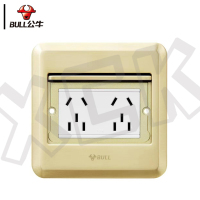 公牛(BULL)翻盖式方形地脚插座 GD8Z256 金色 二位小二三极