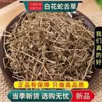 白花蛇舌草100克干货百花蛇舌草半枝莲铁树叶大枣泡水甄选白花蛇舌草9260