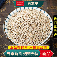 白苏子100克干货新货泡水泡茶紫苏子籽新货正品生另售莱菔子白芥子9260