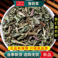 薄荷草100克干货新货正品干薄荷泡水泡茶正品新货薄荷梗薄荷叶9260