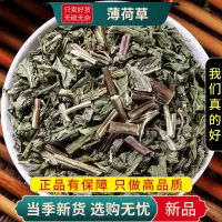 薄荷草100克干货新货正品干薄荷泡水泡茶正品新货薄荷梗薄荷叶9260