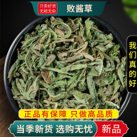 败酱草100克干货新货官方店马草苦菜黄花山白菜不白花败酱草9260