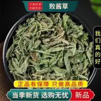 败酱草100克干货新货官方店马草苦菜黄花山白菜不白花败酱草9260