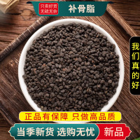补骨脂100克干货正品新货破故纸补骨脂黑故子婆固脂9260