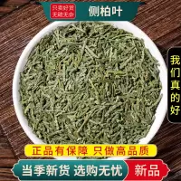 侧柏叶100克干货正品新货官方店香柏扁柏柏树侧伯叶干9260