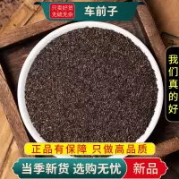 车前子100克干货正品新货车前实耳朵穗子壳车前子籽9260