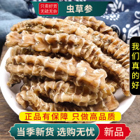 虫草参100克正品地参地虫草竹节参泽兰根地龙菜煲汤料9260