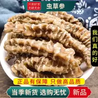 虫草参100克正品地参地虫草竹节参泽兰根地龙菜煲汤料9260