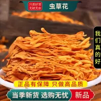 虫草花100克正品新货不老草蛹虫草北虫草火锅煲汤食材9260