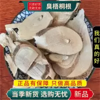 臭梧桐根100克干货正品新货臭梧桐树根蓉根山梧桐根9260