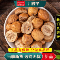 川楝子100克正品楝树子实楝实苦楝子石茱萸金铃子仁枣9260