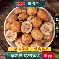 川楝子100克正品楝树子实楝实苦楝子石茱萸金铃子仁枣9260