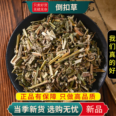 甄选倒扣草100克干货正品别名牛舌大黄倒钩牛膝头无硫9260