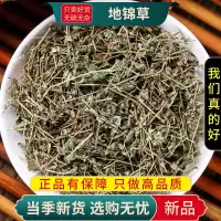 甄选地锦草100克别名斑花盖地血见愁红丝草乃汁浆草9260