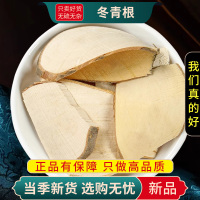 甄选毛冬青根100克干货正品老根毛冬青无硫冬青根煮水9260