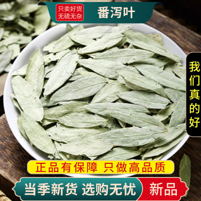 甄选番泻叶100克泻叶干货泻叶潘泄叶另售红枸杞金银花9260