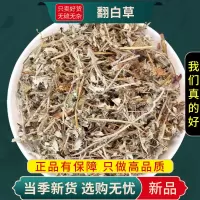 甄选翻白草100克干货正品煮水泡茶另售绞股蓝茶苦丁茶9260
