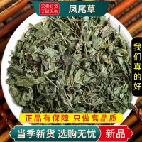 甄选凤尾草100克货正品凤尾草鸡脚草金鸡尾凤尾五指草9260